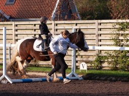 IMG_6956_web